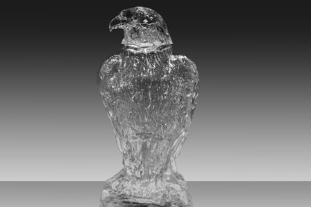 the Most Expensive Bottled Water