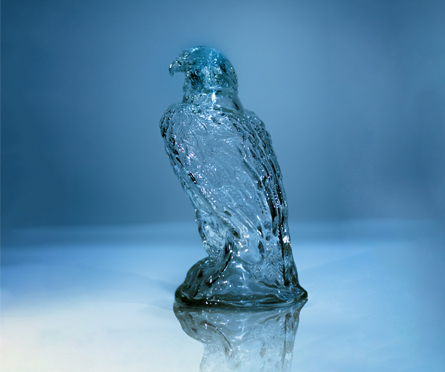 Harmful effects of plastic bottles